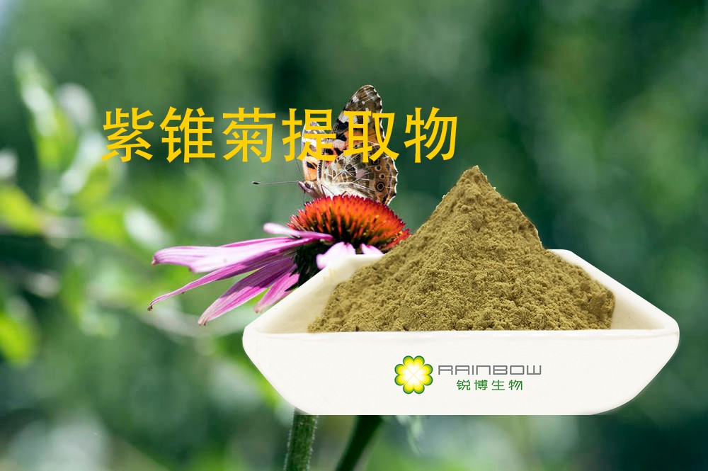 紫錐菊提取物