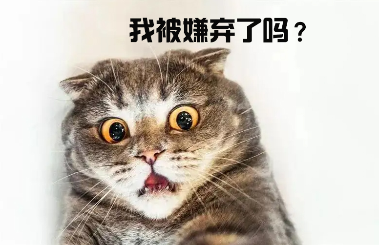 西安銳博生物
