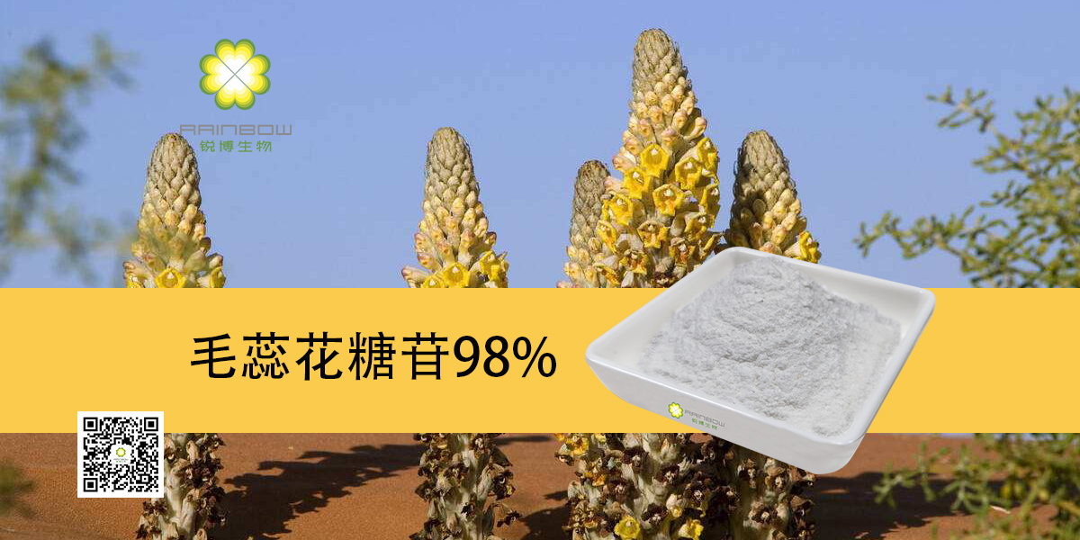 肉蓯蓉提取物