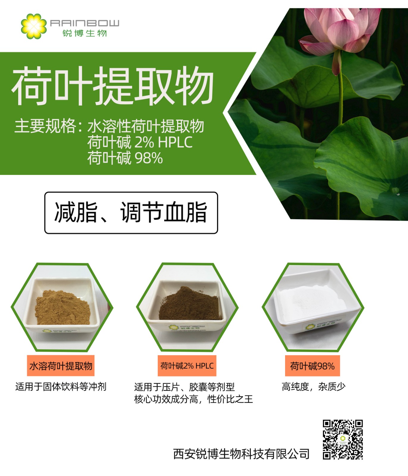 荷葉提取物